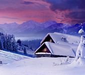pic for Beautiful Winter 